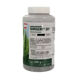 Dirigent SX PI.png