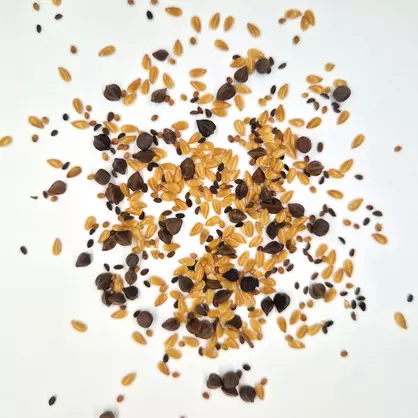 UFA Spargelfix (3).jpg