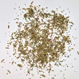 UFA Schafweide HS (3).jpg