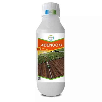 Adengo 1 Liter.jpeg
