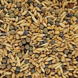 UFA Silo Forza (3).jpg