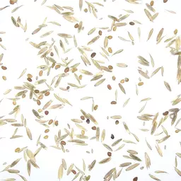 UFA 323 GOLD.jpg
