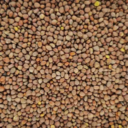 Ölrettich Structurator (3).jpg