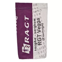 Sorgum_RAGT.jpg