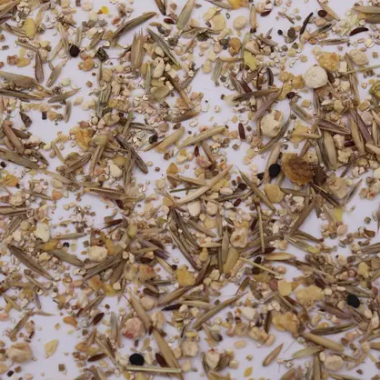 UFA-Montagna CH-G.JPG