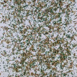 UFA 481 A HS (2).jpg