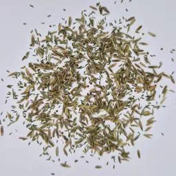 UFA U-Helvetia AR HS (1).jpg