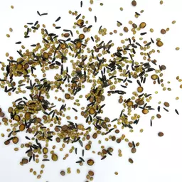 UFA Drohne_Saatgut.jpg