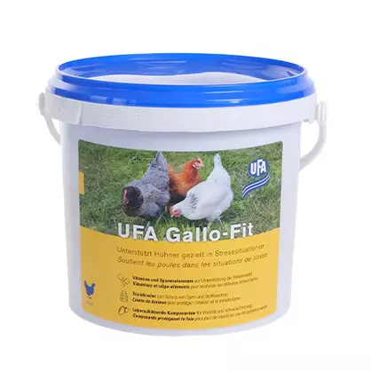 Gallo-Fit neu.JPG